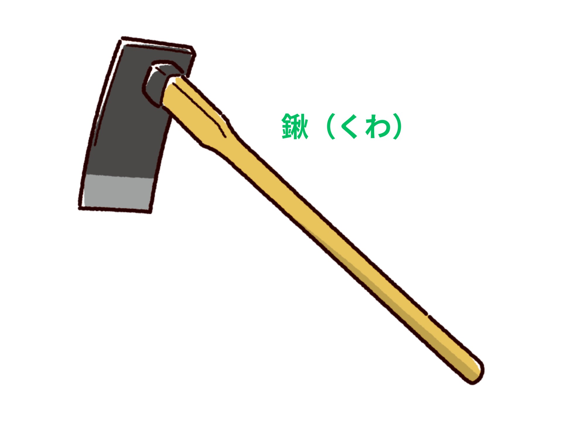 畑の写真