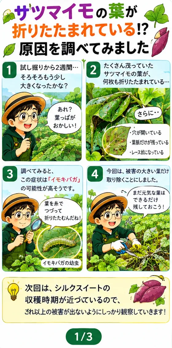 畑日和のインスタグラムに投稿している4コマ漫画の例